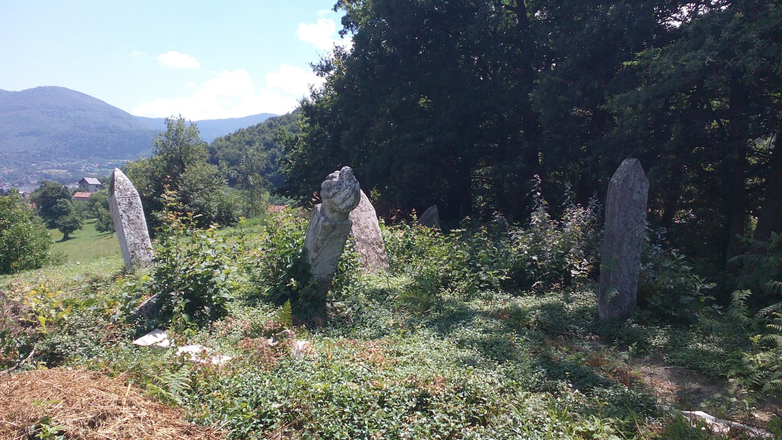 Historijsko područje – Nekropole sa stećcima i groblje s nišanima u Grivićima, Općina Hadžići